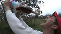 Eloquenza